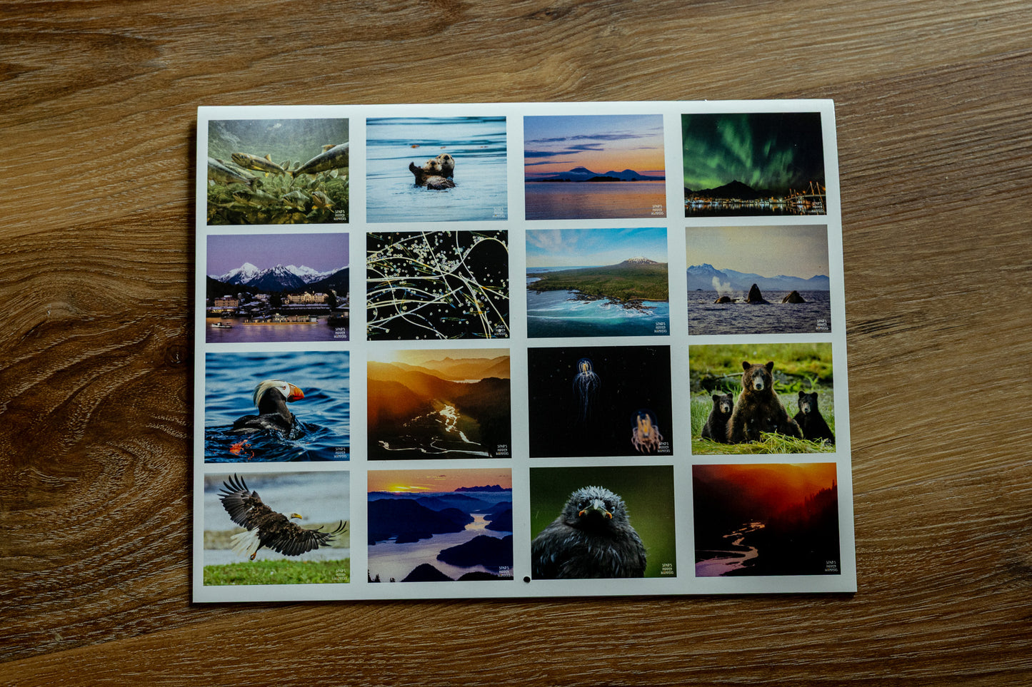 Sitka Wonders Photo Calendar (Sept 2025-Dec 2026)