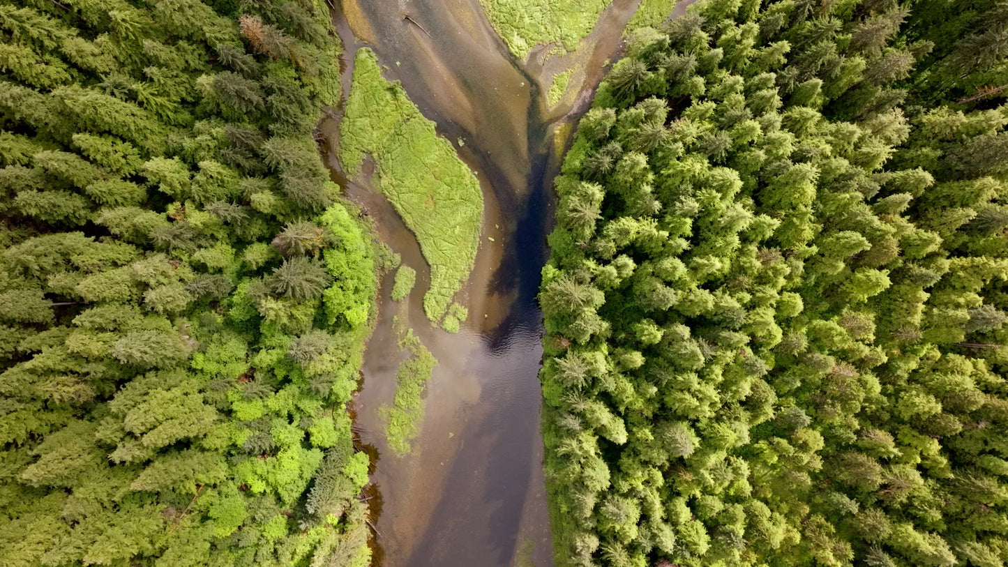 Sitka's Hidden Wonders - 7 Day - Online Streaming Rental